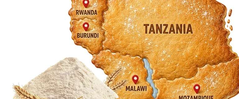 Export Markets